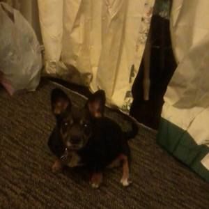 Meet your Posher, Talita